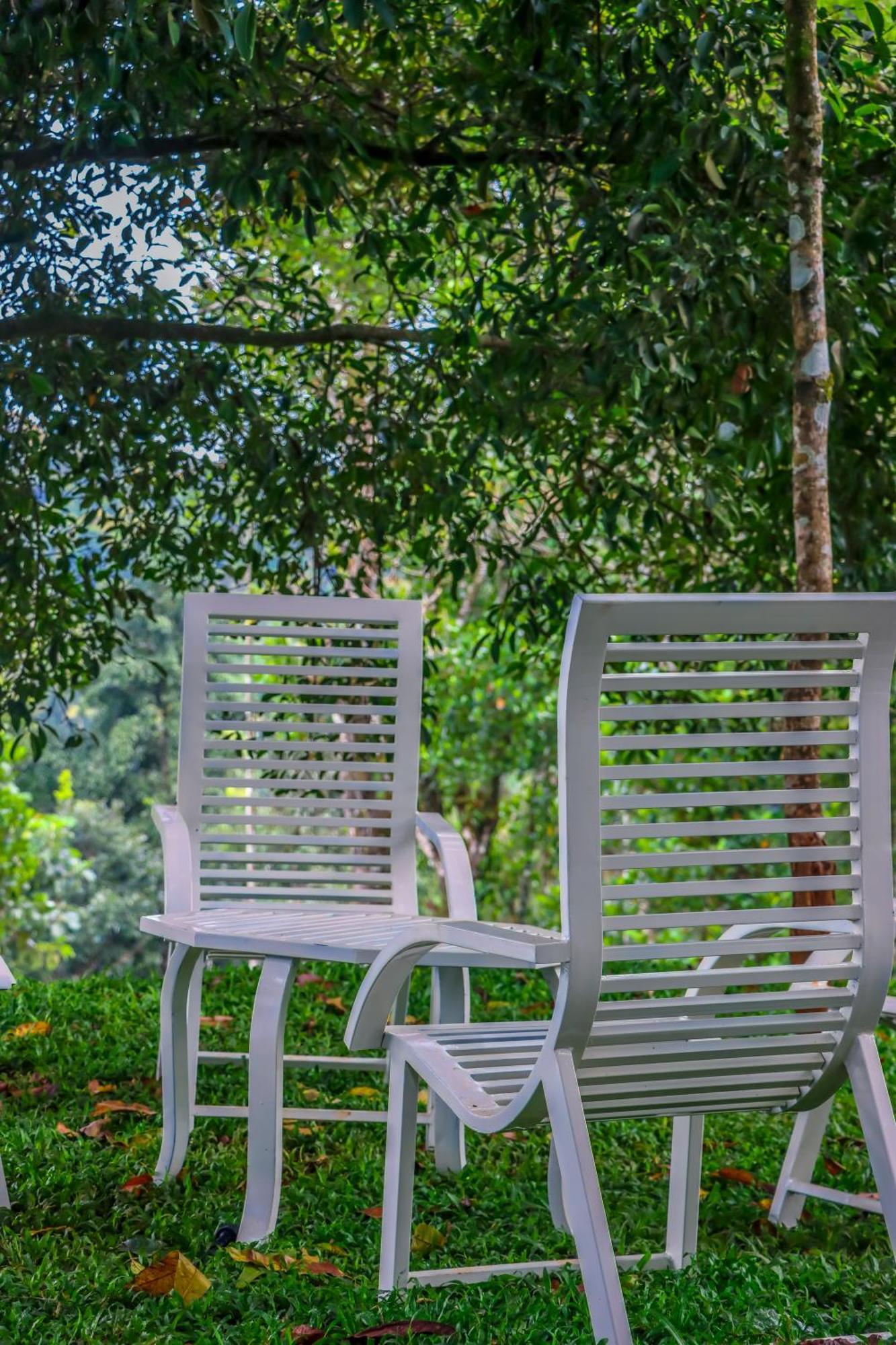 Winter Note Resorts Munnar Bagian luar foto